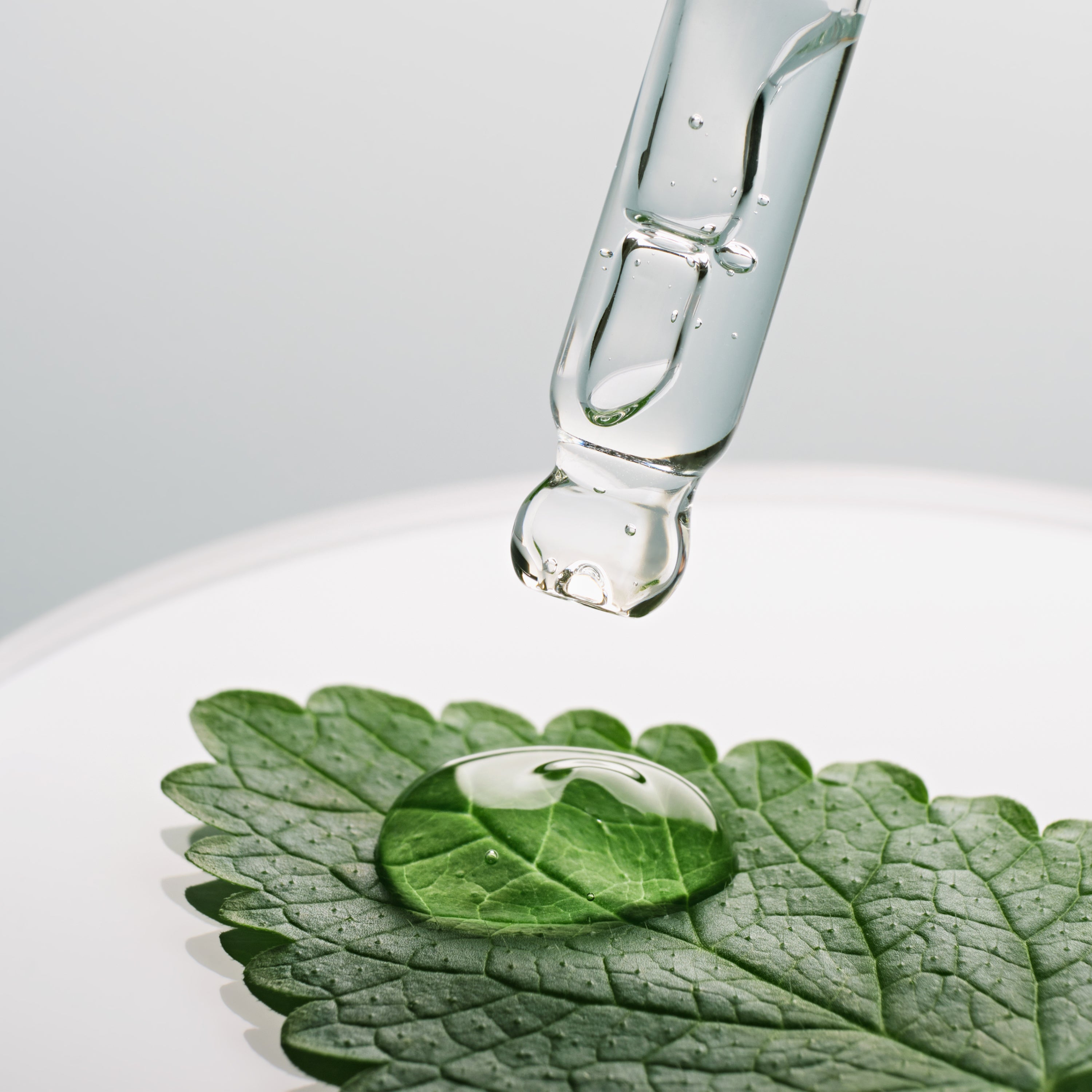 Glass dropper and a water droplet on a fresh mint leaf, evoking the Apple Mint serum